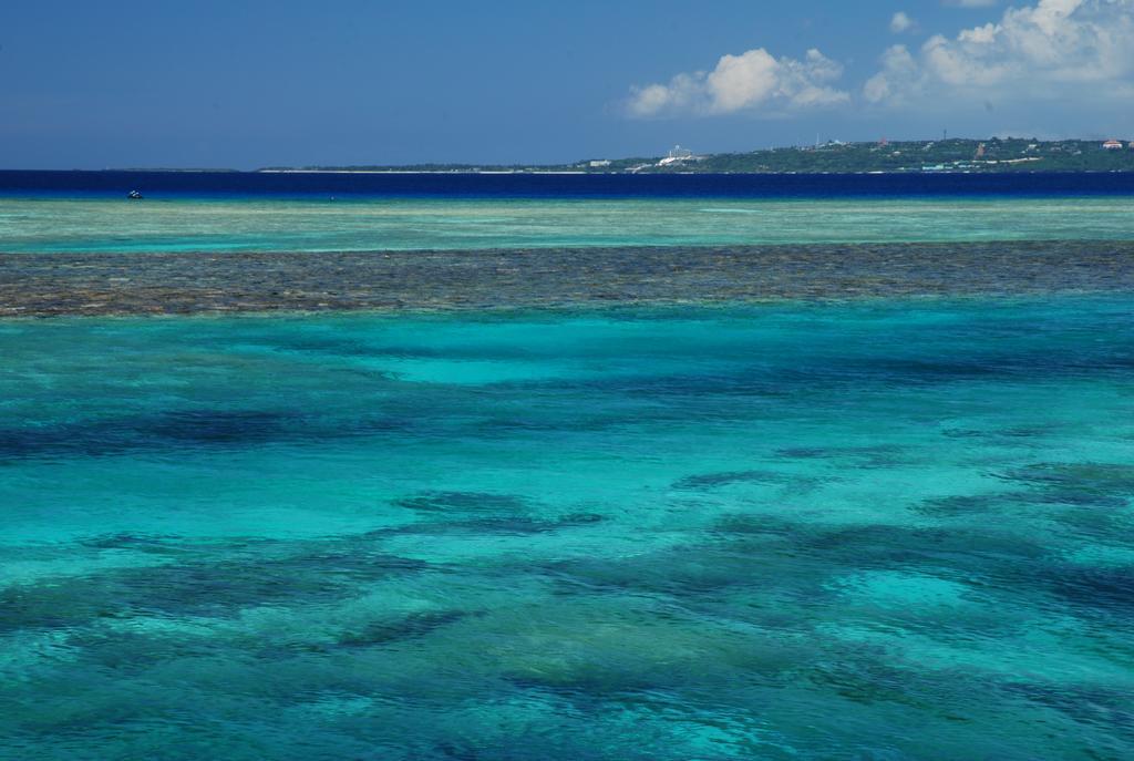 Yukurinaresort Okinawa Hills Churaumi Мотобу Экстерьер фото